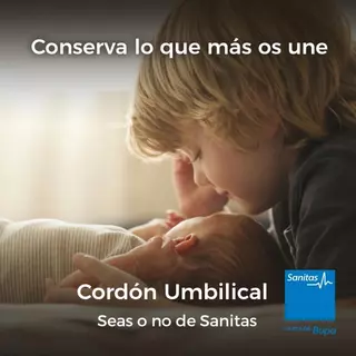 Cordón Umbilical