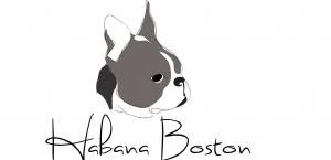 logo Centro Veterinario HABANA BOSTON