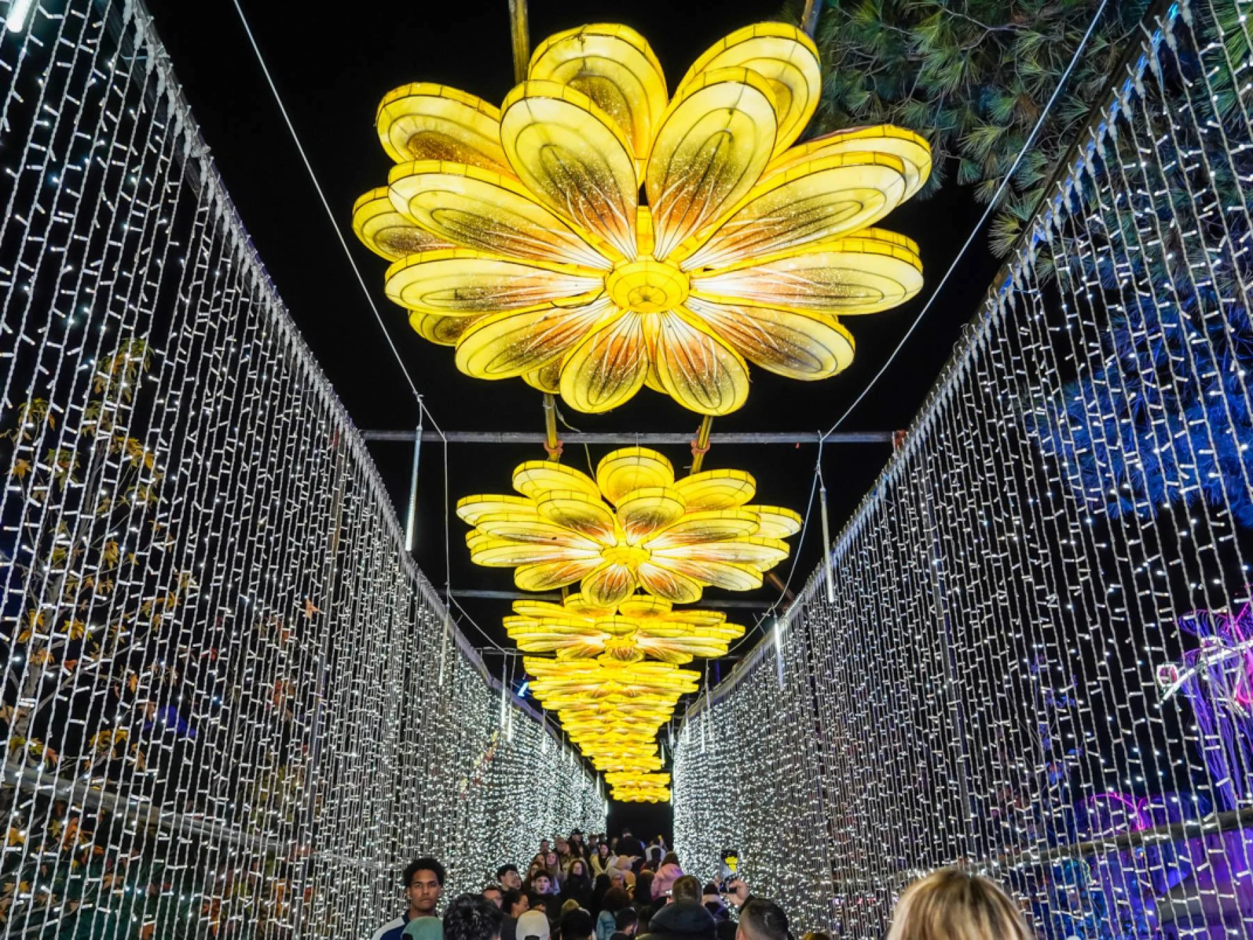 Entradas Parque de la Navidad de Torrejon + Ice Festival