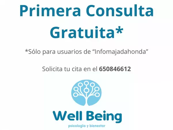Well Being Psicólogos Majadahonda