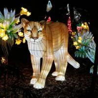 Pack de 4 entradas para Brilla Madrid Zoo: el evento de la Navidad