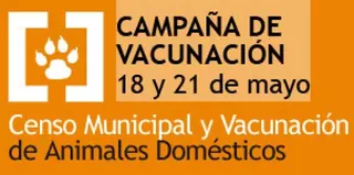 Campaña oficial de vacunación antirrábica e identificación canina y felina
