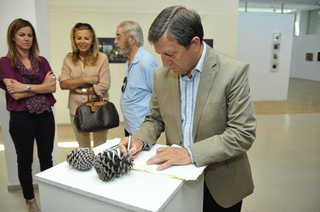 El Ayuntamiento y la Fundación Horizontes Abiertos organizan un exposición sobre árboles