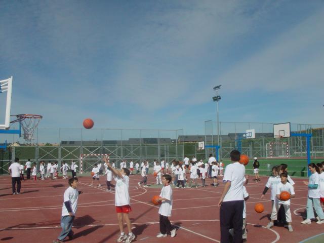 503 participantes en la Fiesta del Minibasket 

