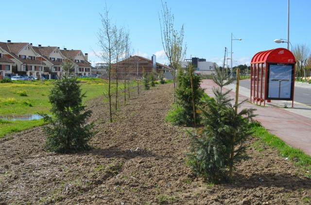 El Ayuntamiento reforesta el monte preservado del Arroyo de Pedro Elvira