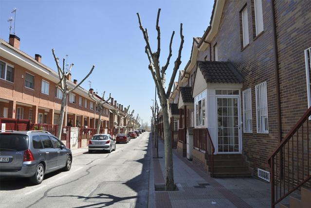 El Ayuntamiento de Villanueva del Pardillo pone en marcha la campaña de poda 2014