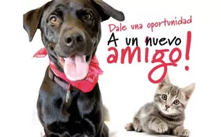 Villanueva del Pardillo celebra su I Feria de Adopción canina y felina