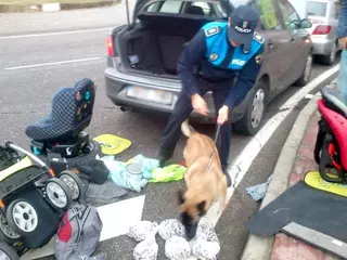 La Unidad Canina de Villanueva del Pardillo participa en una incautación de 6 kilos de hachís