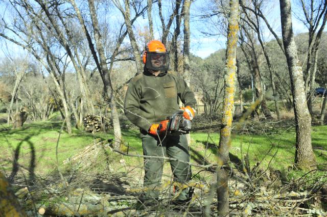 Mejoras en el mantenimiento de zonas verdes y arbolado de Villanueva de la Cañada