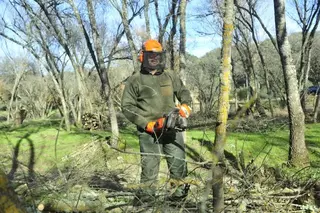 Mejoras en el mantenimiento de zonas verdes y arbolado de Villanueva de la Cañada