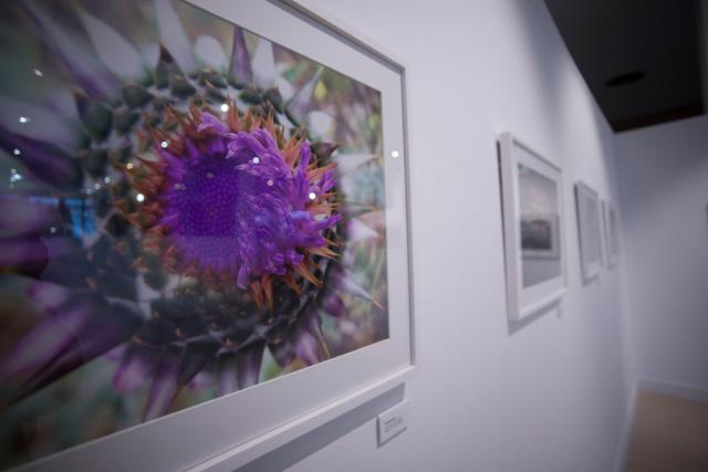 En Villanueva de la Cañada, la fotografía, protagonista de las exposiciones en Febrero