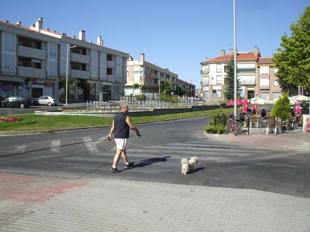 Un poste cae sobre un camión en Villanueva de la Cañada