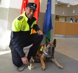 La Unidad Canina de Villanueva de la Cañada consigue el tercer puesto en el I Campeonato de Perros Detectores de Sustancias