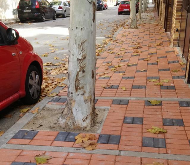 Ciudadanos propone soluciones para la renovación de las aceras del municipio