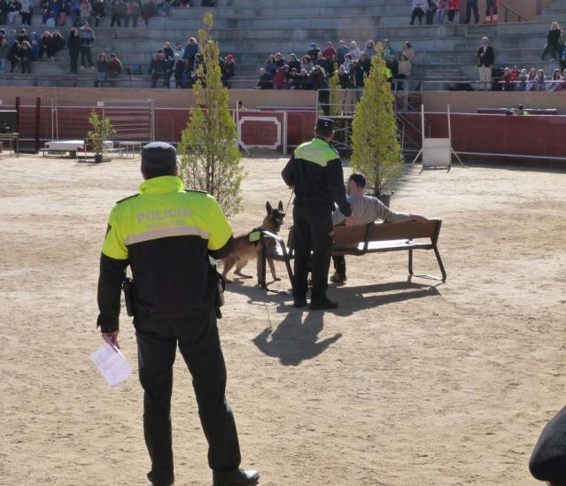 La Unidad Canina de Policía Local, presente en las V Jornadas Policiales y Militares de Guías Caninos de Móstoles