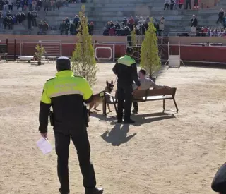 La Unidad Canina de Policía Local, presente en las V Jornadas Policiales y Militares de Guías Caninos de Móstoles