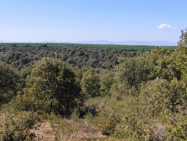 Izquierda Unida pide mayor protección para los espacios naturales de Villanueva de la Cañada