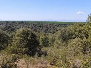 Izquierda Unida pide mayor protección para los espacios naturales de Villanueva de la Cañada