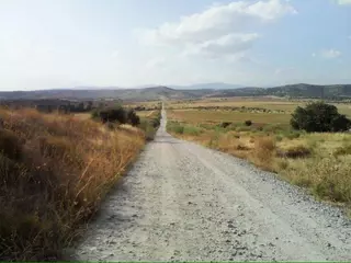 El Tribunal Supremo confirma la nulidad del PGOU de Villanueva Pardillo por falta de evaluación del impacto ambiental