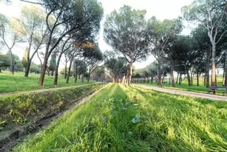 El Ayuntamiento inicia los trabajos de desbroce y limpieza de vegetación para prevenir incendios