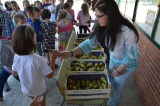 ﻿El Ayuntamiento de Villanueva de la Cañada reparte 1.100 kilos de peras entre los escolares