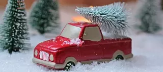 Villanueva de la Cañada ofrece a los vecinos un servicio gratuito de recogida de árboles navideños