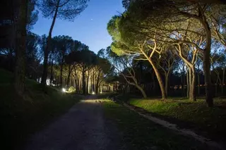 El Ayuntamiento de Villanueva de la Cañada ilumina el camino principal de El Pinar
