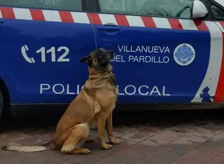 Reina, la perra policía de Villanueva del Pardillo, se jubila