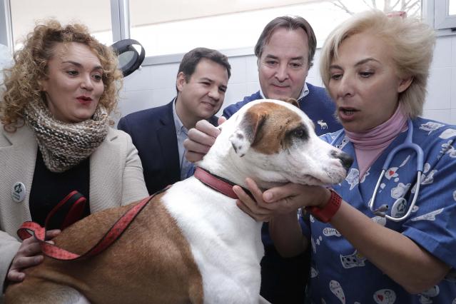 La Comunidad destina un millón de euros para facilitar a los municipios el cumplimiento de la Ley de Protección de Animales