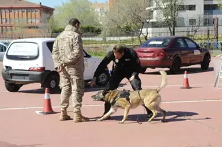 Guías caninos policiales y militares de toda España se dan cita en Villanueva de la Cañada