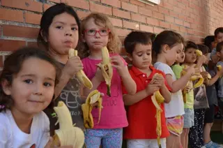 El Ayuntamiento de La Cañada reparte en centros educativos del municipio cerca de 800 kilos de plátanos