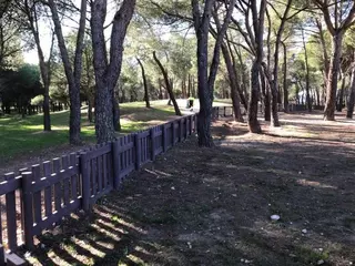 Ciudadanos Villanueva de la Cañada propone la dotación de parques caninos en el municipio