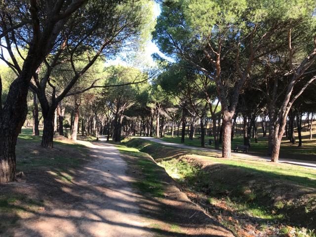 Ciudadanos Villanueva de la Cañada critica la negativa del Gobierno a crear nuevos parques caninos en el municipio