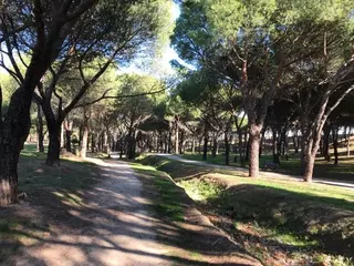 Ciudadanos Villanueva de la Cañada critica la negativa del Gobierno a crear nuevos parques caninos en el municipio