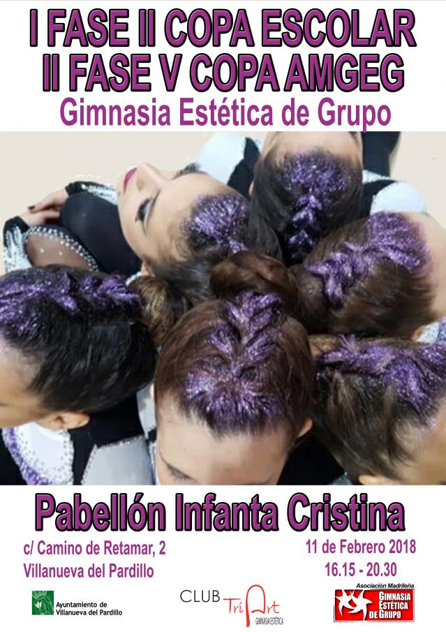 Villanueva del Pardillo sede del Campeonato de Gimnasia Estética de Grupo