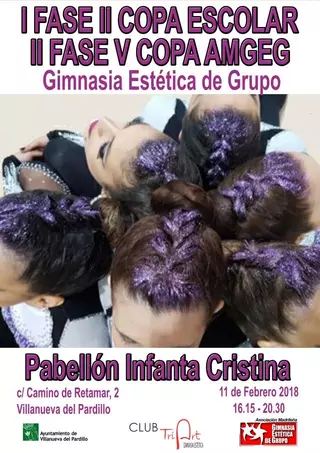Villanueva del Pardillo sede del Campeonato de Gimnasia Estética de Grupo