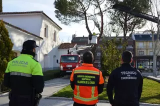 Tala de los dos pinos de la plaza de España por motivos de seguridad