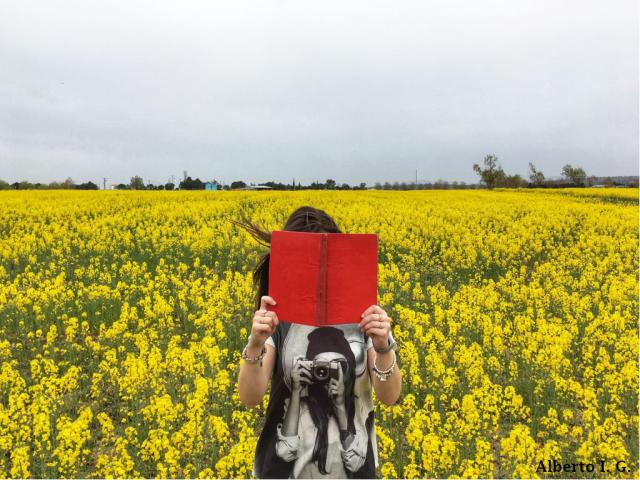 Dos imágenes protagonizadas por jóvenes leyendo, ganadoras del Maratón de Fotografía con Móvil