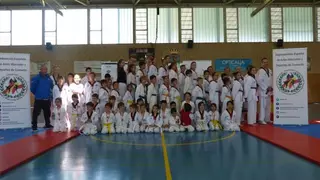 Villanueva de la Cañada acoge el III Campeonato Infantil de Técnica de Taekwondo