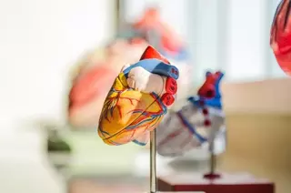 Cardiólogos del Hospital Puerta de Hierro aplican una técnica pionera en la reparación de una válvula tricúspide