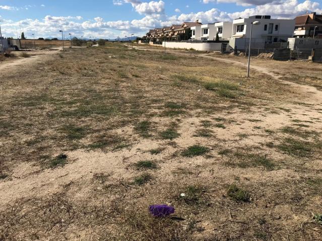 Ciudadanos Villanueva de la Cañada solicita que se realicen las mejoras programadas en la zona de ‘Las Cárcavas’
