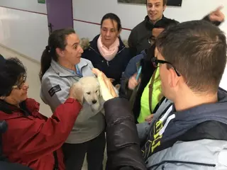 El Programa Municipal de Ocio Inclusivo de Villanueva de La Cañada continuará en 2019