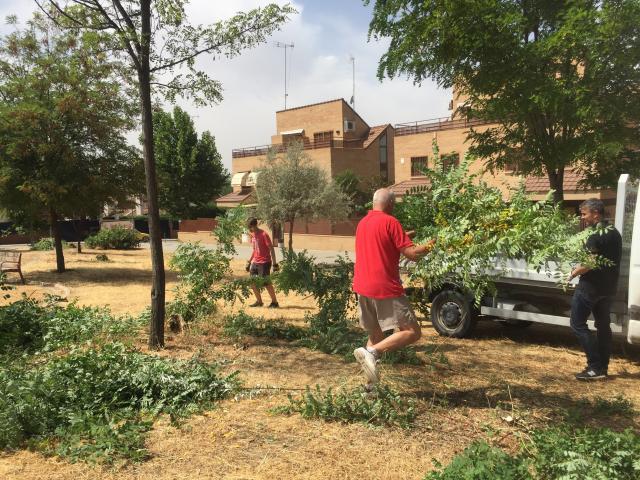 El alcalde, concejales, voluntarios y vecinos de Villanueva del Pardillo arreglan y adecentan los parques del municipio