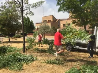 El alcalde, concejales, voluntarios y vecinos de Villanueva del Pardillo arreglan y adecentan los parques del municipio