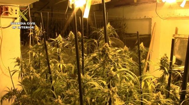 La Guardia Civil interviene más de 700 kilogramos de marihuana de dos viviendas de Boadilla del Monte y Móstoles