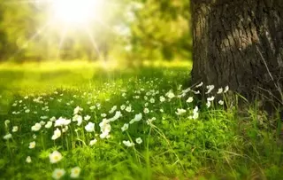 Aumento de temperaturas en el día de hoy