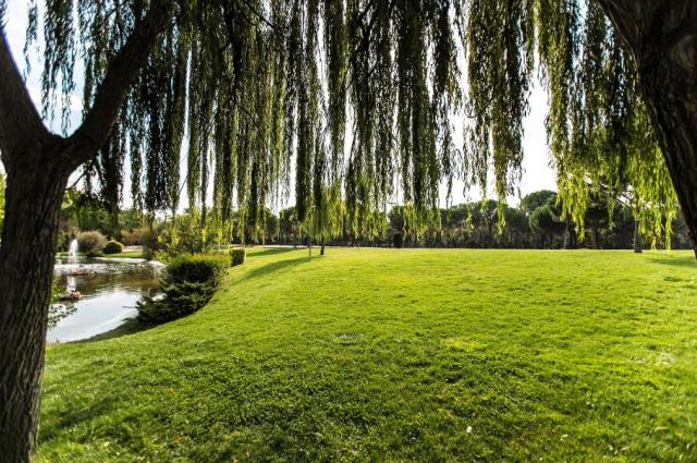 Los parques de La Baltasara y El Molino de Villanueva de la Cañada se abrirán al público a partir de este viernes