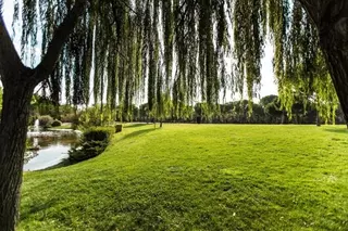 Los parques de La Baltasara y El Molino de Villanueva de la Cañada se abrirán al público a partir de este viernes