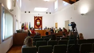 Villanueva de la Cañada aprueba destinar un millón de euros a medidas para paliar los efectos del COVID-19