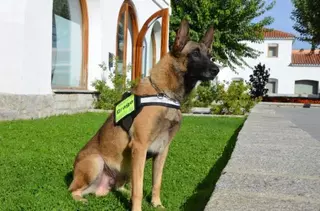 Una escultura recordará para siempre al primer perro policía de Villanueva de la Cañada